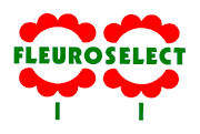 Fleuroselect.jpg Fleuroselect.jpg